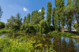 Images for Mallard View, Billing Aquadrome