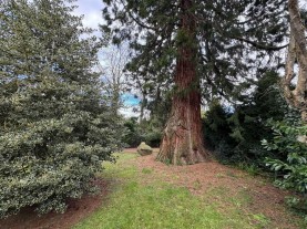 Images for The Promenade, Wellingborough