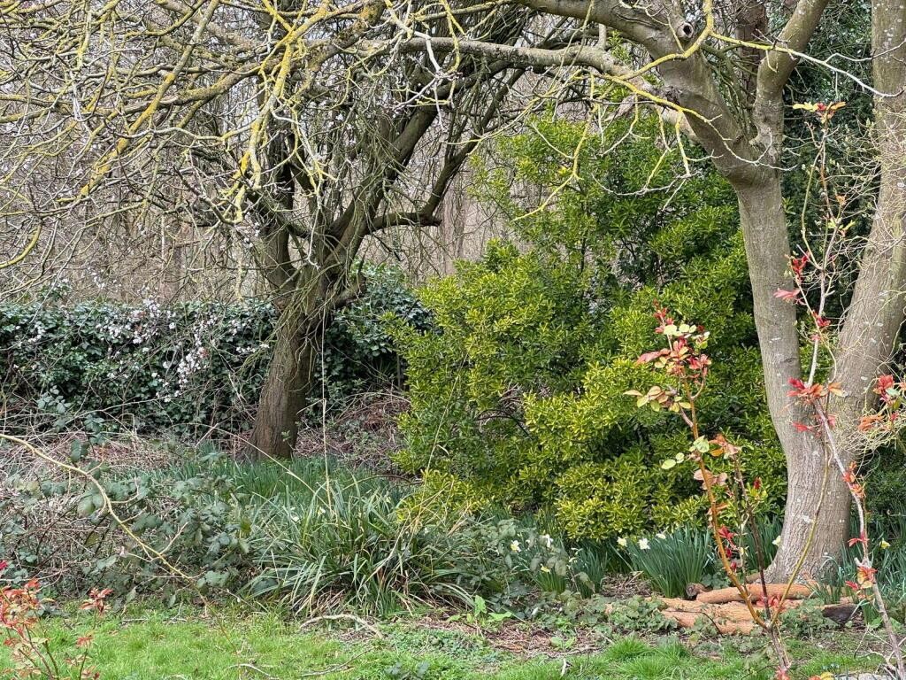 Images for The Promenade, Wellingborough EAID:oscarjamesapi BID:8