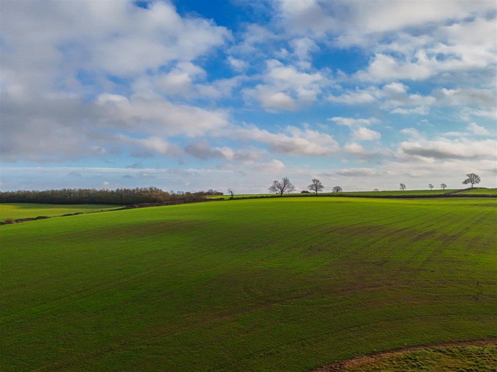 Images for Deenethorpe, East Northamptonshire EAID:oscarjamesapi BID:4