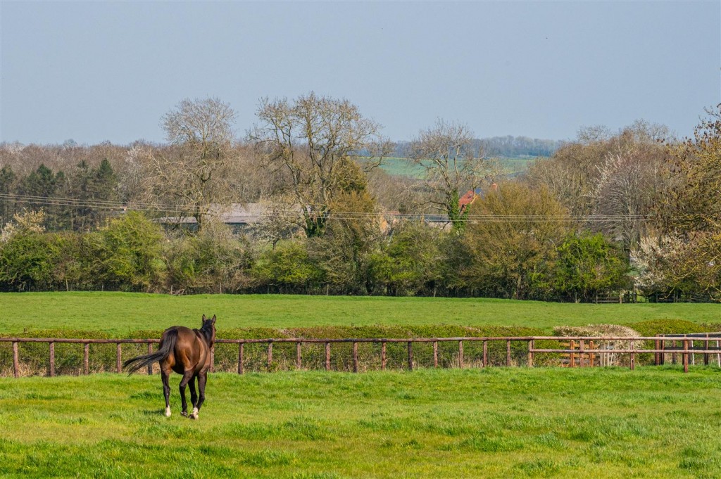 Images for Nether Green, Clipston, Market Harborough EAID:oscarjamesapi BID:5
