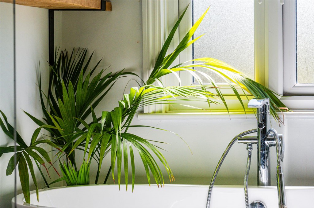 Images for Nelson Street, Market Harborough EAID:oscarjamesapi BID:5