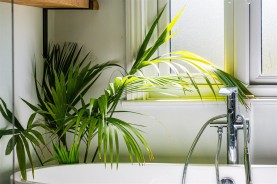 Images for Nelson Street, Market Harborough