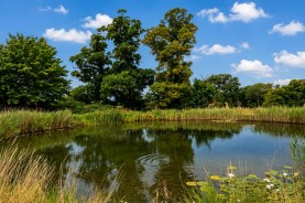 Images for Bell Hill, Finedon